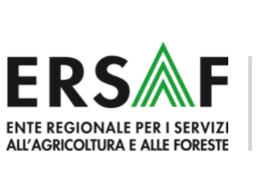 logo ersaf
